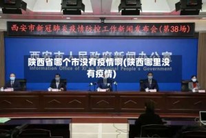 陕西省哪个市没有疫情啊(陕西哪里没有疫情)