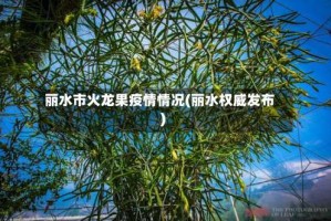 丽水市火龙果疫情情况(丽水权威发布)