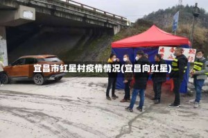 宜昌市红星村疫情情况(宜昌向红星)