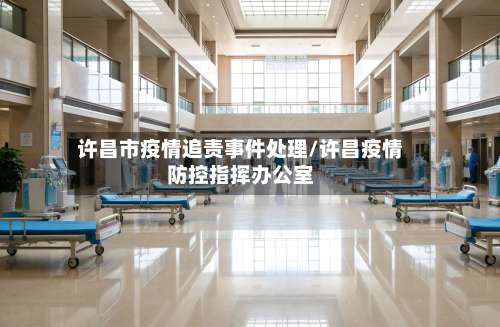 许昌市疫情追责事件处理/许昌疫情防控指挥办公室-第1张图片