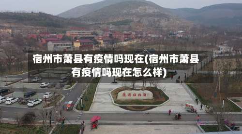 宿州市萧县有疫情吗现在(宿州市萧县有疫情吗现在怎么样)-第1张图片