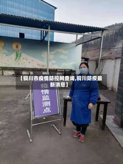 【铜川市疫情防控网查询,铜川防疫最新消息】-第2张图片