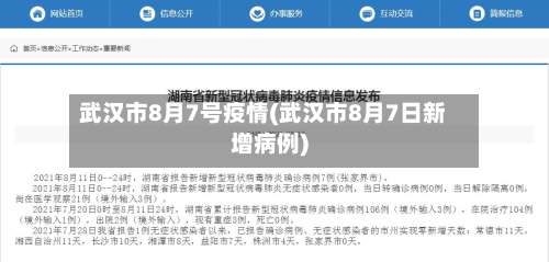 武汉市8月7号疫情(武汉市8月7日新增病例)-第1张图片