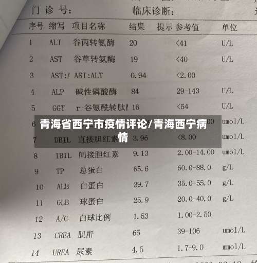 青海省西宁市疫情评论/青海西宁病情-第2张图片