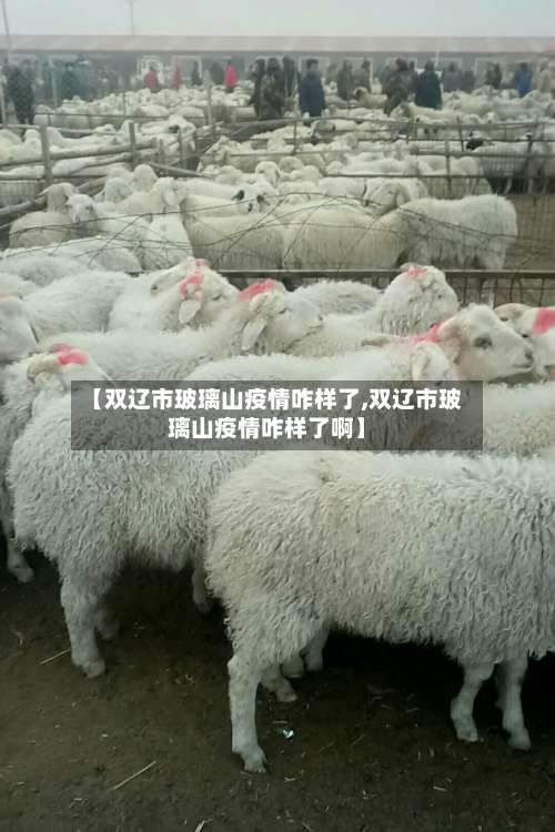 【双辽市玻璃山疫情咋样了,双辽市玻璃山疫情咋样了啊】-第2张图片